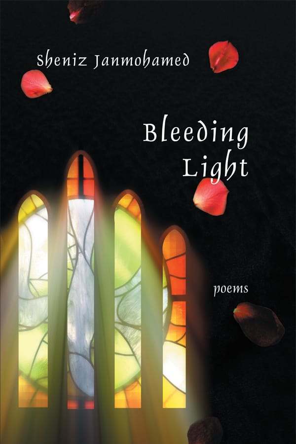A cover of 'Bleeding Light' book.